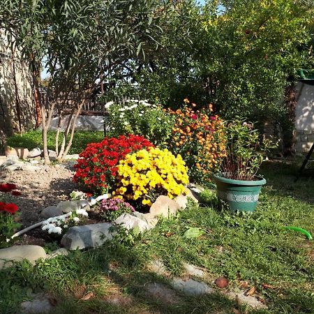 Old House Apartment With Garden Area Mtsʼkhetʼa Eksteriør bilde